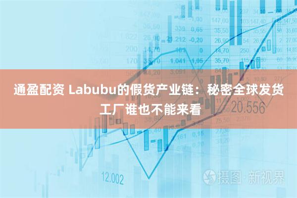通盈配资 Labubu的假货产业链：秘密全球发货 工厂谁也不能来看
