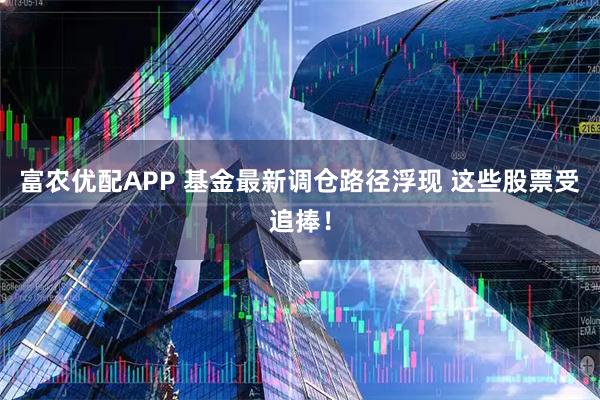 富农优配APP 基金最新调仓路径浮现 这些股票受追捧！