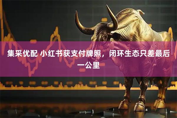 集采优配 小红书获支付牌照，闭环生态只差最后一公里