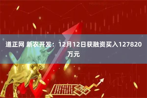 道正网 新农开发：12月12日获融资买入127820万元